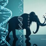 El regreso del mamut lanudo es inminente A fondo