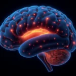 ¡Transforma tu vida ahora! Entiende la ciencia de la formación de hábitos y cómo reprogramar tu cerebro para el éxito duradero con métodos probados.